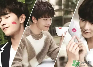 娇兰344和325哪个好看?娇兰344和325对比